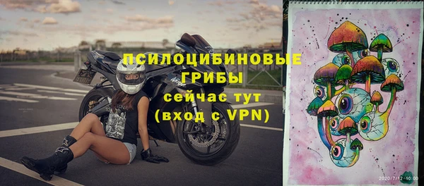 apvp Армянск